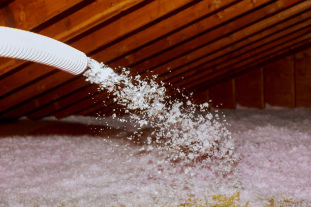 Best Cellulose Insulation in Claremont, NC